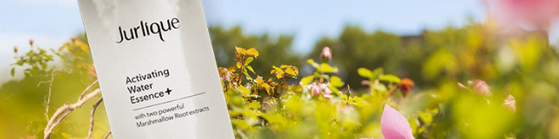 �I�[�X�g�����A���I�[�K�j�b�N�R�X���u�W�����[�N�v�́y�X�^�[�^�[�L�b�g�z




���T�C�g